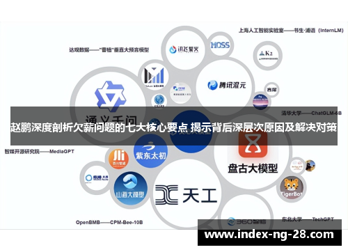 赵鹏深度剖析欠薪问题的七大核心要点 揭示背后深层次原因及解决对策