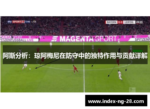 阿斯分析：琼阿梅尼在防守中的独特作用与贡献详解