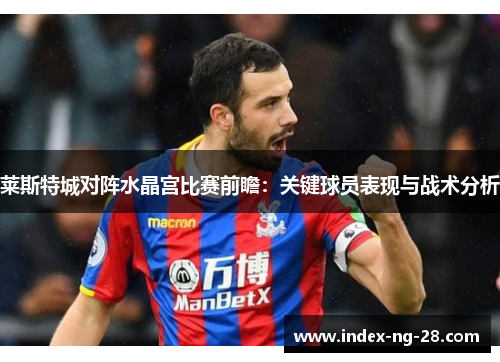 莱斯特城对阵水晶宫比赛前瞻：关键球员表现与战术分析